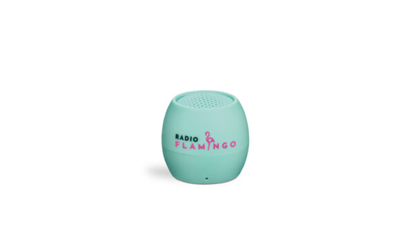 Radio Flamingo BoomPods Speaker